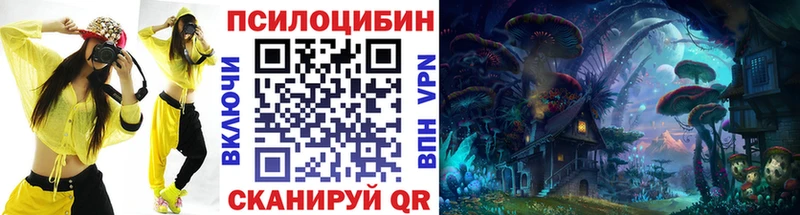 Купить  Тулун  Галлюциногенные грибы Cubensis 